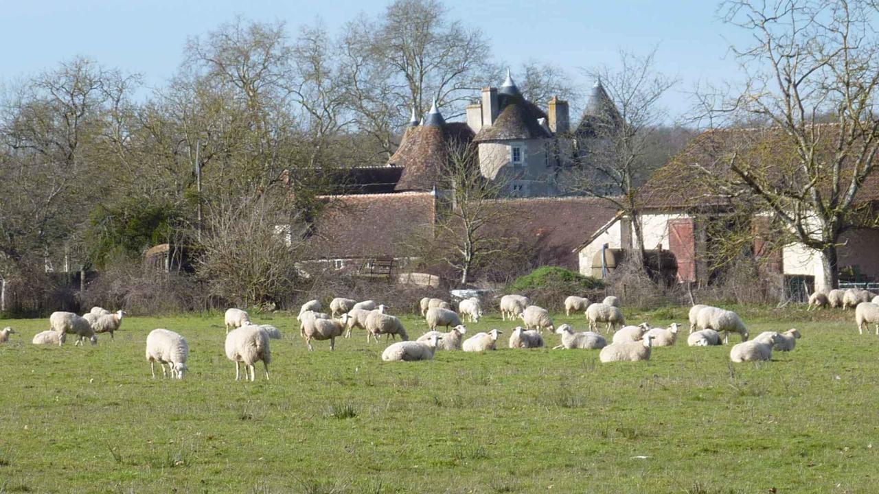 Le Logis Alexandra Bnb La Trimouille 외부 사진