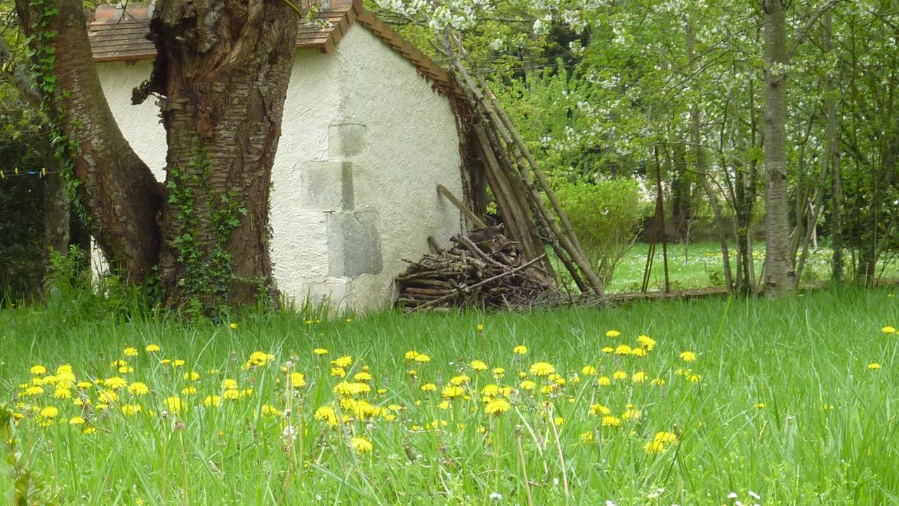 Le Logis Alexandra Bnb La Trimouille 외부 사진
